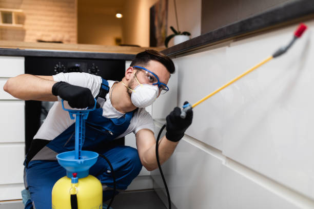 Best Local Pest Control Services  in Ridgeway, VA
