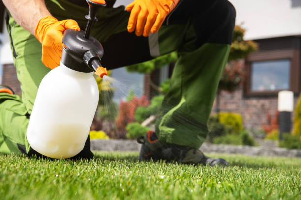 Best Wasp Removal Services  in Ridgeway, VA