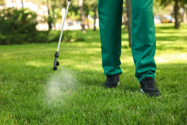 Best Pest Control for Homes  in Ridgeway, VA