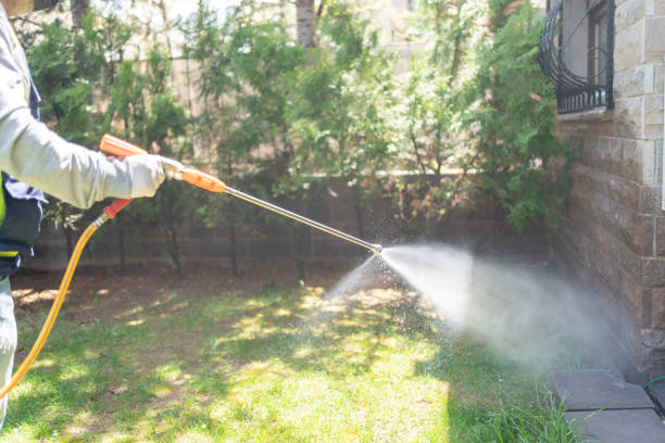 Best Pest Prevention Services  in Ridgeway, VA