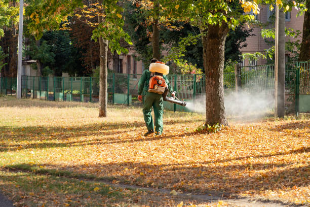 Best Best Pest Control Companies  in Ridgeway, VA