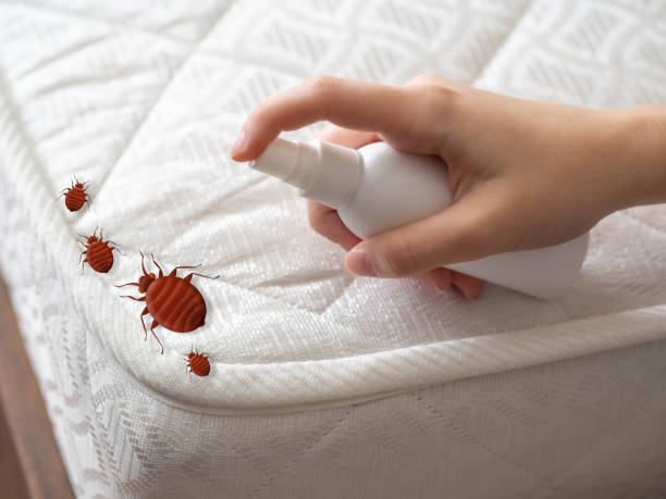 Best Commercial Pest Control Services  in Ridgeway, VA