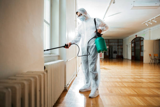 Best Pest Control Near Me  in Ridgeway, VA