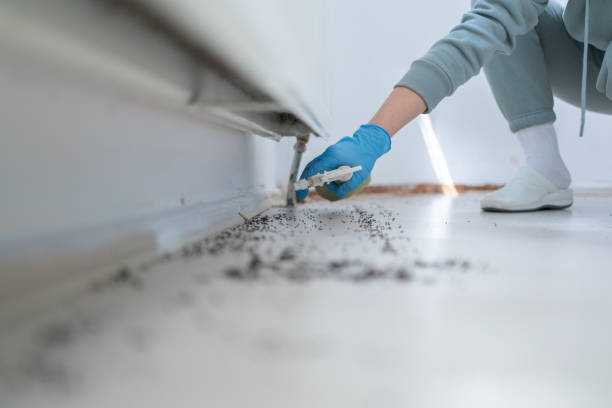 Pest Control for Restaurants in Ridgeway, VA